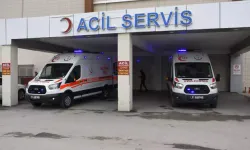 Otomobil Devrildi, Sürücü Hayatını Kaybetti