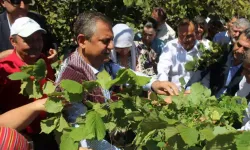 Özgür Özel: Açıklanan Fındık Fiyatı Üreticiye Ve Fındıkla Yaşayan Kentlere İhanettir