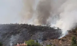 Kayseri'de Dağlık Arazide Yangın