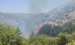 Diyarbakır'da Ormanda Örtü Yangını