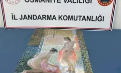 Jandarmanın Operasyonunda Tarihi Eser Ve Uyuşturucu Madde Ele Geçirildi