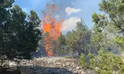 Kahramanmaraş'ta Orman Yangını