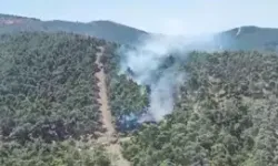 Manisa'da Orman Yangını Meydana Geldi