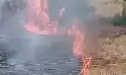 Hatay'da Çalılıkta Çıkan Yangın Yerleşim Yerlerine Sıçramadan Kontrol Altına Alındı