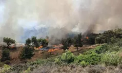 Çanakkale’de Tarım Arazisinde Yangın