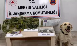 Mersin'de Uyuşturucu Operasyonunda 7 Gözaltı