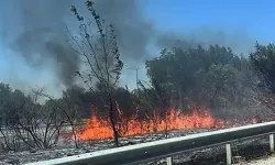 Lüleburgaz'da Anız Yangınında, 150 Dönüm Alan Zarar Gördü