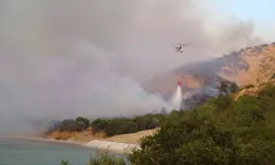 Çanakkale’de Orman Yangını: Müdahale Sürüyor