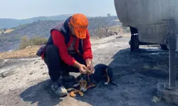 Manisa'daki Orman Yangını 4. Gününde Devam Ediyor