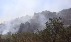 Kayseri'de Çıkan Ot Yangını 1 Saatte Kontrol Altına Alındı