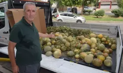 Tüccara Kızdı, Çöpe Atmak Yerine ‘Lösemili Çocuklar’ İçin Dağıttı