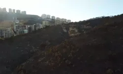 İzmir'de Çıkan Yangınlarla İlgili 6 Kişi Tutuklandı