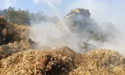 Tarsus'ta Saman Yüklü TIR Alev Aldı