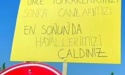 İliç'teki Maden Sahası Genişletme Projesinin ÇED Olumlu Raporu İptal Edildi