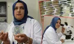 Tuzlanan Toprakların Verimini Artırmak İçin D Vitamini Projesi