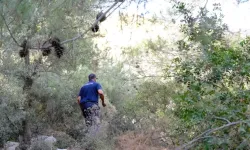 Bodrum'da Yangın Müdahale İçin Nöbet Sistemi Uygulaması Başlatıldı