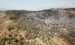 Orman Yangınları ile İlgili Halk Sağlığı Uyarısı