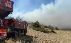 Kahramanmaraş'ta Orman Yangını: Ekipler Müdahalede Bulundu