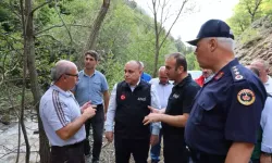 Artvin Valisi Ünsal, Sel Bölgesinde İncelemelerde Bulundu