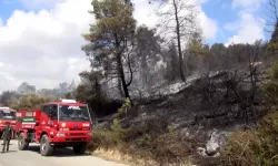 Manavgat'ta Tarım Arazisinde Yangın