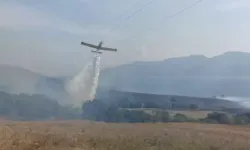 Erdek'te Ot Yangını; 100 Dönüm Alan Tahrip Oldu