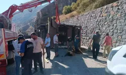 Bitlis'te Devrilen TIR'ın Dorsesindeki 100 Küçükbaş Hayvan Hayatını Kaybetti