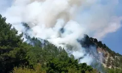 Antalya’daki Orman Yangını Kontrol Altına Alındı