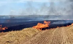 Trakya'daki Yangınlarda 37 Bin 115 Dekar Tarım Alanı Zarar Gördü