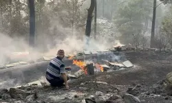 Muğla'daki Orman Yangını Kontrol Altına Alındı: 200 Hektar Alan Zarar Gördü