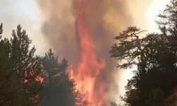 Bolu Göynük’te Orman Yangını Çıktı