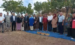 Çanakkale’de Antep Fıstığı Hasat Şenliği Düzenlendi