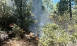 Muğla'da Yıldırım Düşmesi Sonucu Çıkan Orman Yangını Kontrol Altına Alındı