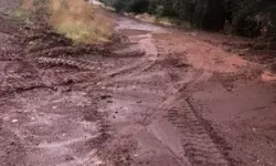 Ahlat'ta Sağanak Sele Neden Oldu