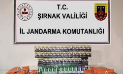 Şırnak'ta Gerçekleştirilen Gümrük Kaçakçılığı Operasyonu