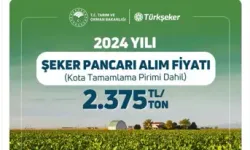 Şeker Pancarı Alım Fiyatı Ton Başına 2 Bin 375 TL Olarak Belirlendi