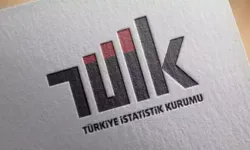 TÜİK: Yükseköğretim Mezunlarının Yüzde 2'si Yurt Dışına Yerleşti