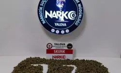 Yalova'da Gerçekleştirilen Narkotik Operasyonu