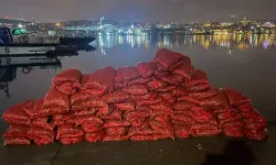 Eminönü, İstanbul'daki Yasal Olmayan Midye Avcılığı Olayı Üzerine Ayrıntılı Cevap