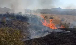 Siirt'te Örtü Yangını; 25 Dönüm Alan Zarar Gördü