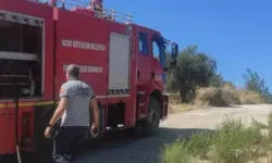 Hatay’da 5 Hektarlık Zeytinlik Alanda Yangın Çıktı