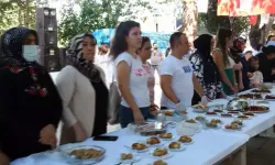 Mut Zeytin Ve Zeytinyağı Festivali Sona Erdi