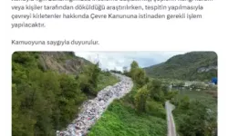 Vahşi Depolama Alanı Dolunca, Çöpler Yola Dökülmeye Başlandı