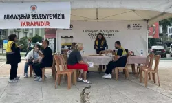 Memnuniyet Anketi Çalışması Samsun'da