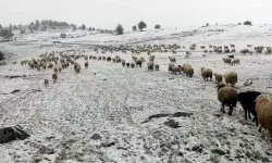 Reşadiye’de Yılın İlk Karı Yağdı