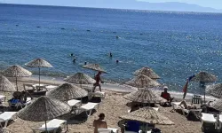 Bodrum'da 'Sarı Yaz' Hareketliliği; Turistler Denize Girdi