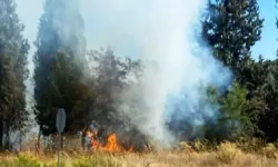 Yatağan'da Çıkan Orman Yangını, Büyümeden Söndürüldü