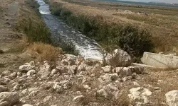 Bakanlığın Van Büyükşehir Belediyesi'ne Ceza Uygulaması