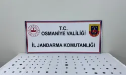 Osmaniye'de Jandarmadan Tarihi Eser Operasyonu, 89 Sikke Ele Geçirildi