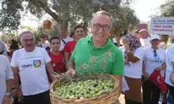 Tarsus’ta lösemili çocuklar için zeytin hasadı