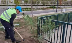 'Kızım Ülkem İçin Mücadele Verirken Ben Şehrim İçin Mücadele Veriyorum'